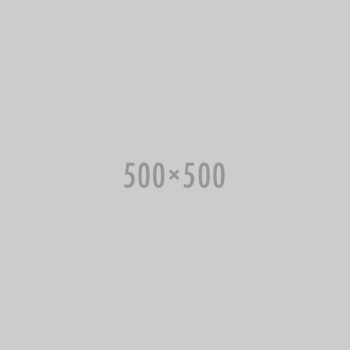 Placeholder-500x500.png